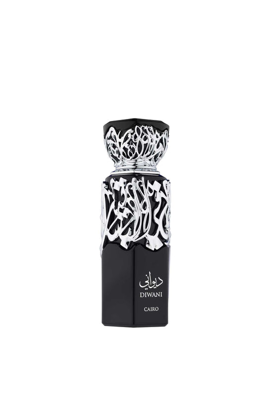 Fragrance World Diwani Cairo Edp 100ml-48