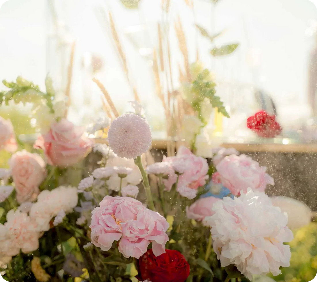 Exploring sustainable and ethical perfume choices.
