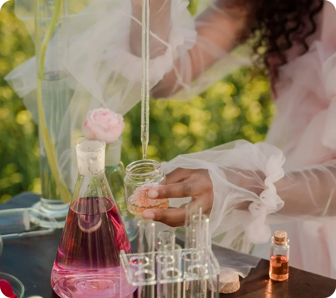 A journey through perfume notes and memories.