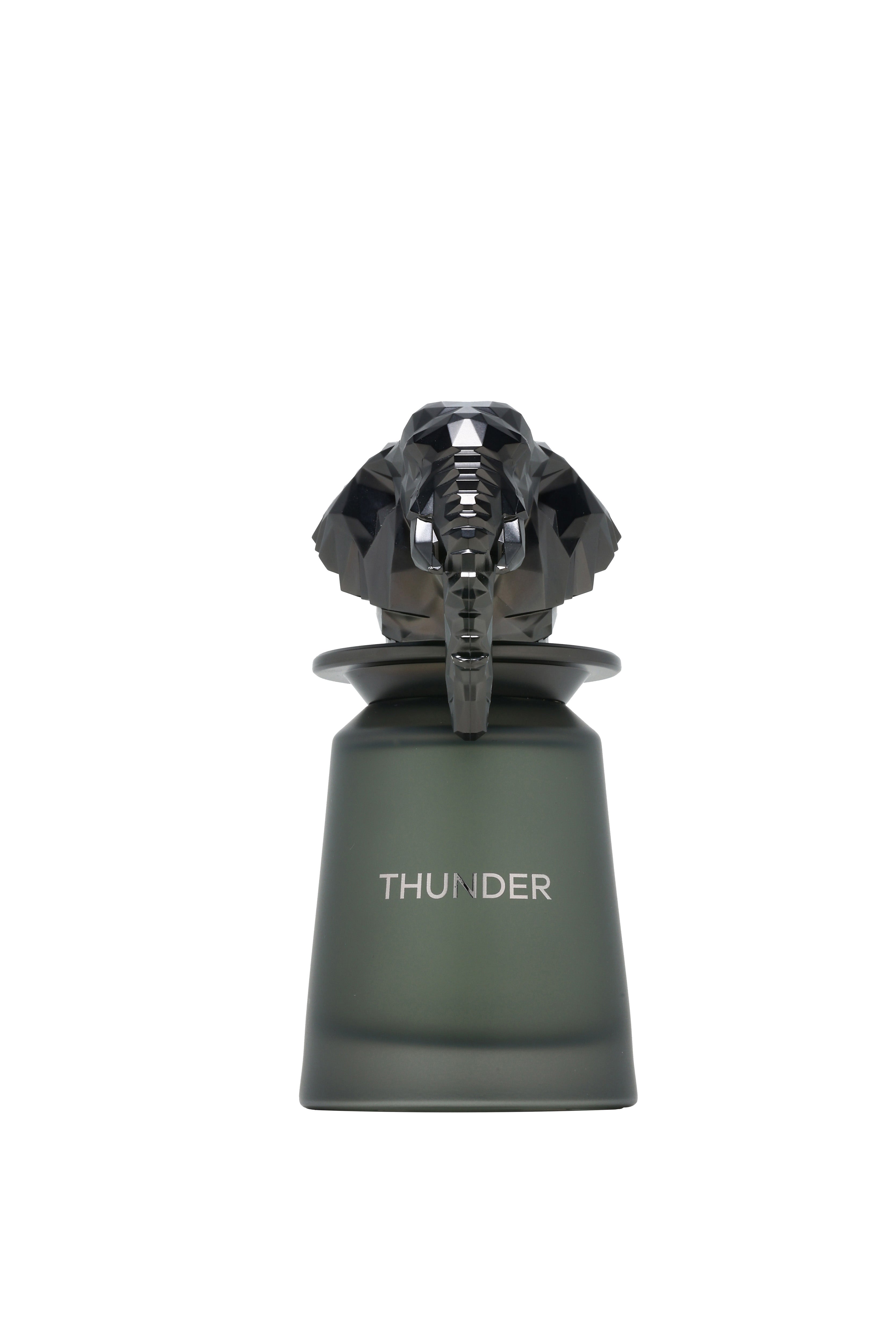 Thunder Edp 100ML French Avenue by Fragrance World – FA USA