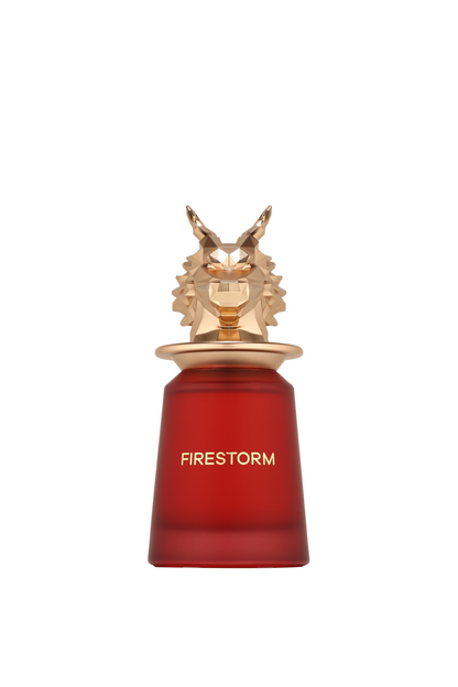 Firestorm Edp 100ML French Avenue by Fragrance World