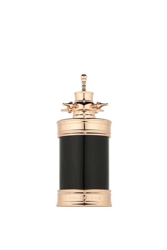 Axis Edp 100ml by French Avenue - Fragrance World