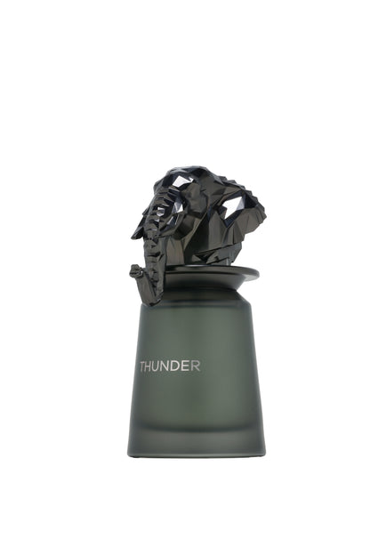 Thunder Edp 100ML French Avenue by Fragrance World