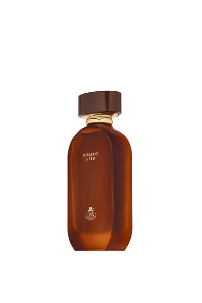 Fragrance World Tobacco D'Feu Edp 100ml by Fragrance World-48
