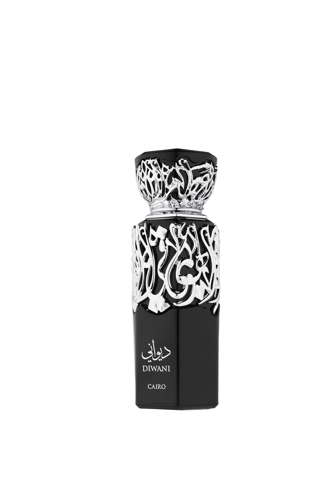 Fragrance World Diwani Cairo Edp 100ml-48