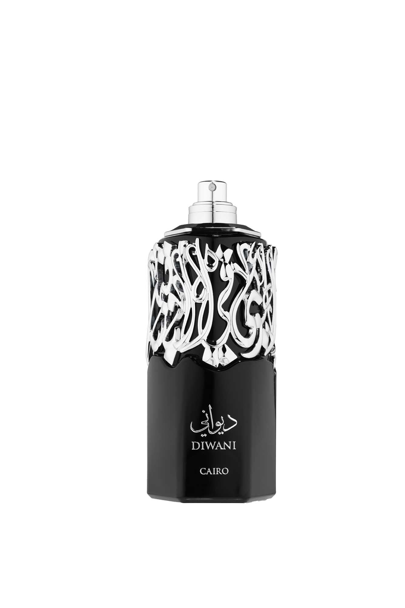 Fragrance World Diwani Cairo Edp 100ml-48
