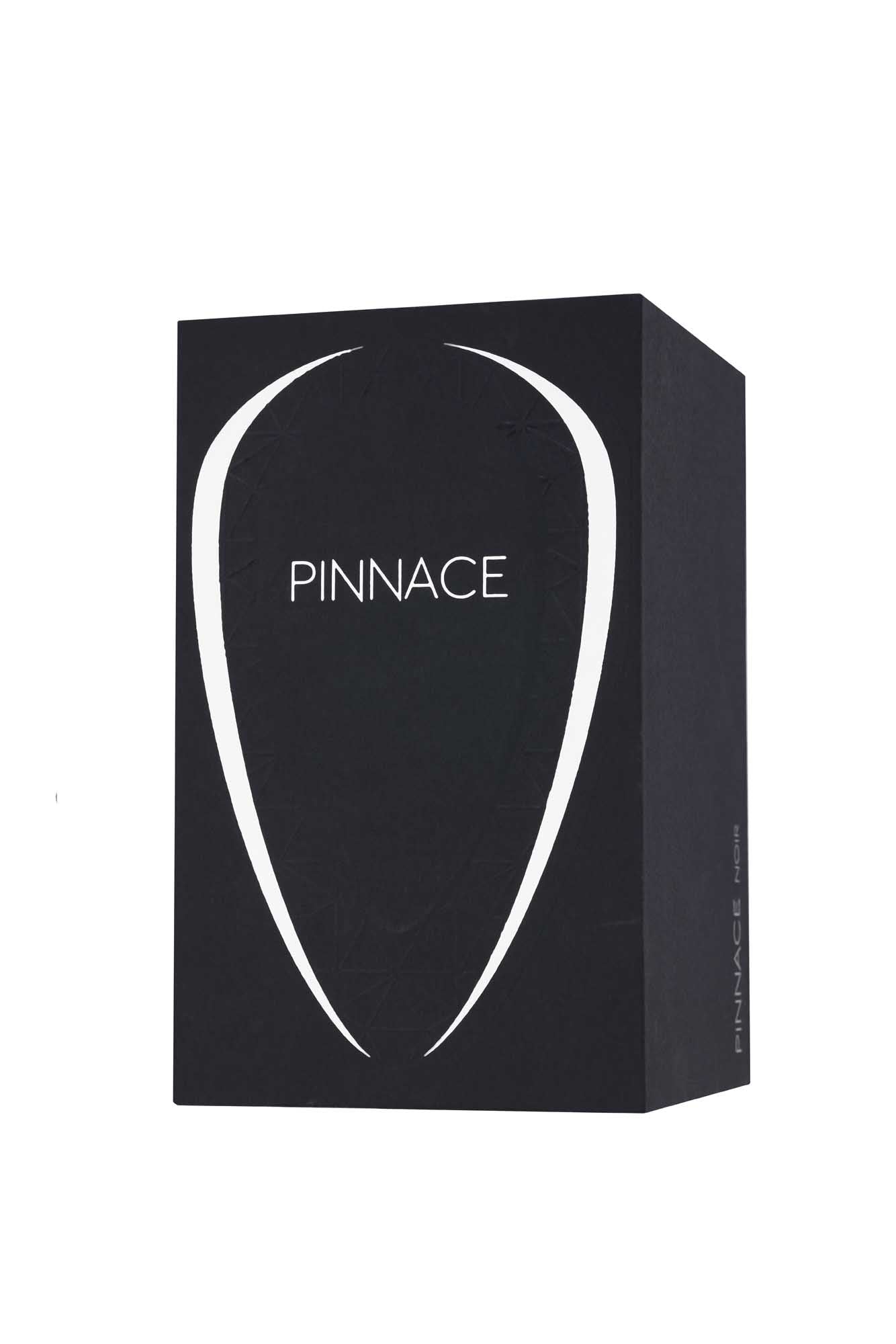 Pinnace Noir Edp 100ml by Fragrance World for Women