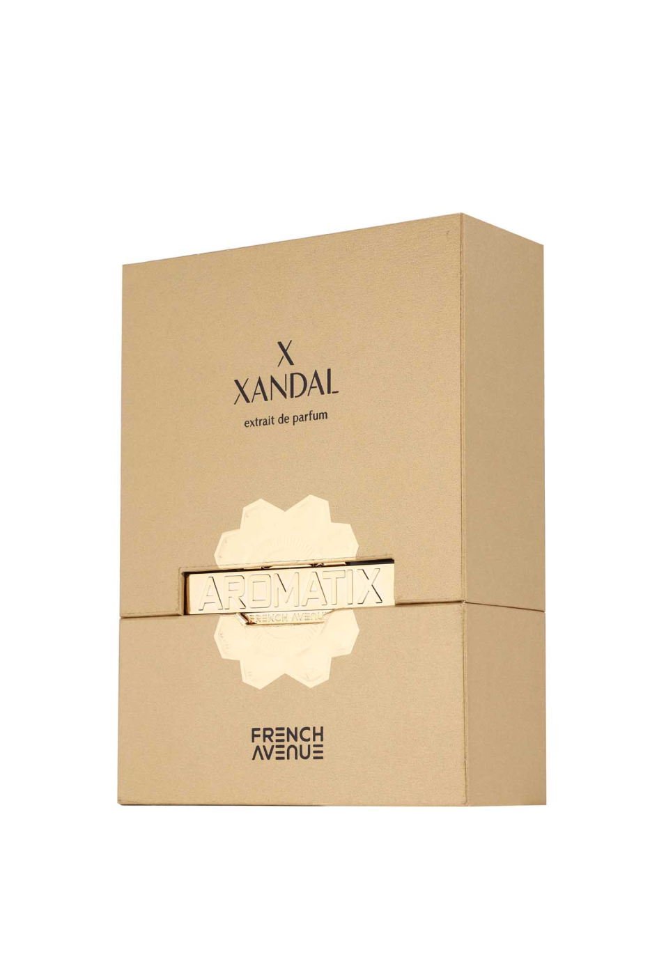 Aromatix X-Xandal Edp 100ml French Avenue by Fragrance World – FA USA