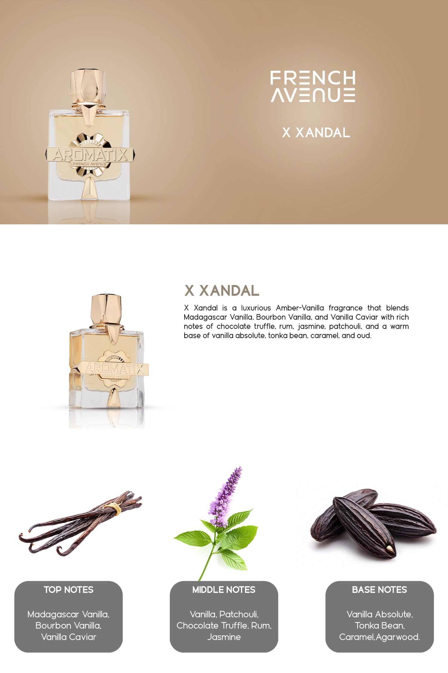 Aromatix X-Xandal Edp 100ml French Avenue by Fragrance World – FA USA