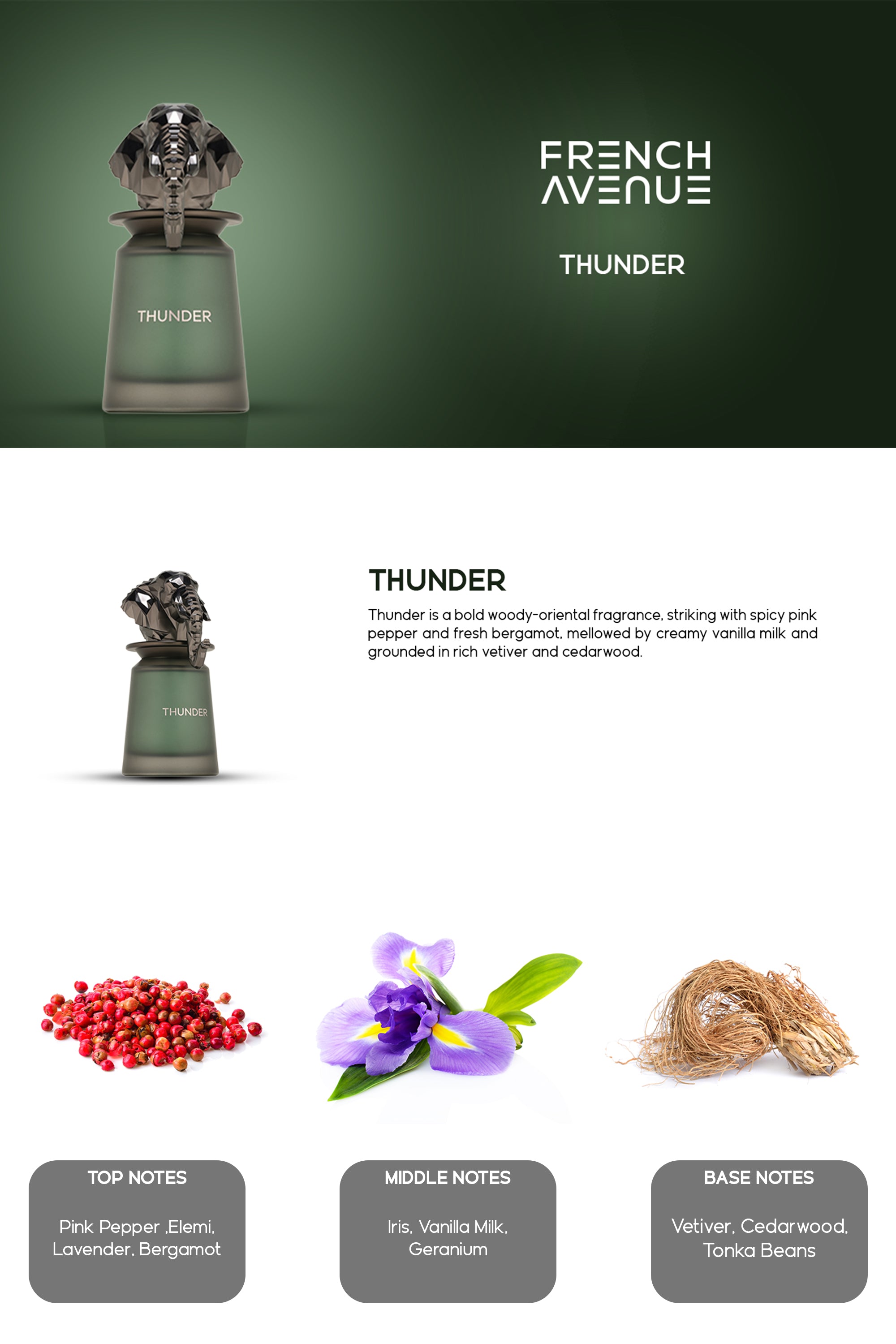 Thunder Edp 100ML French Avenue by Fragrance World – FA USA