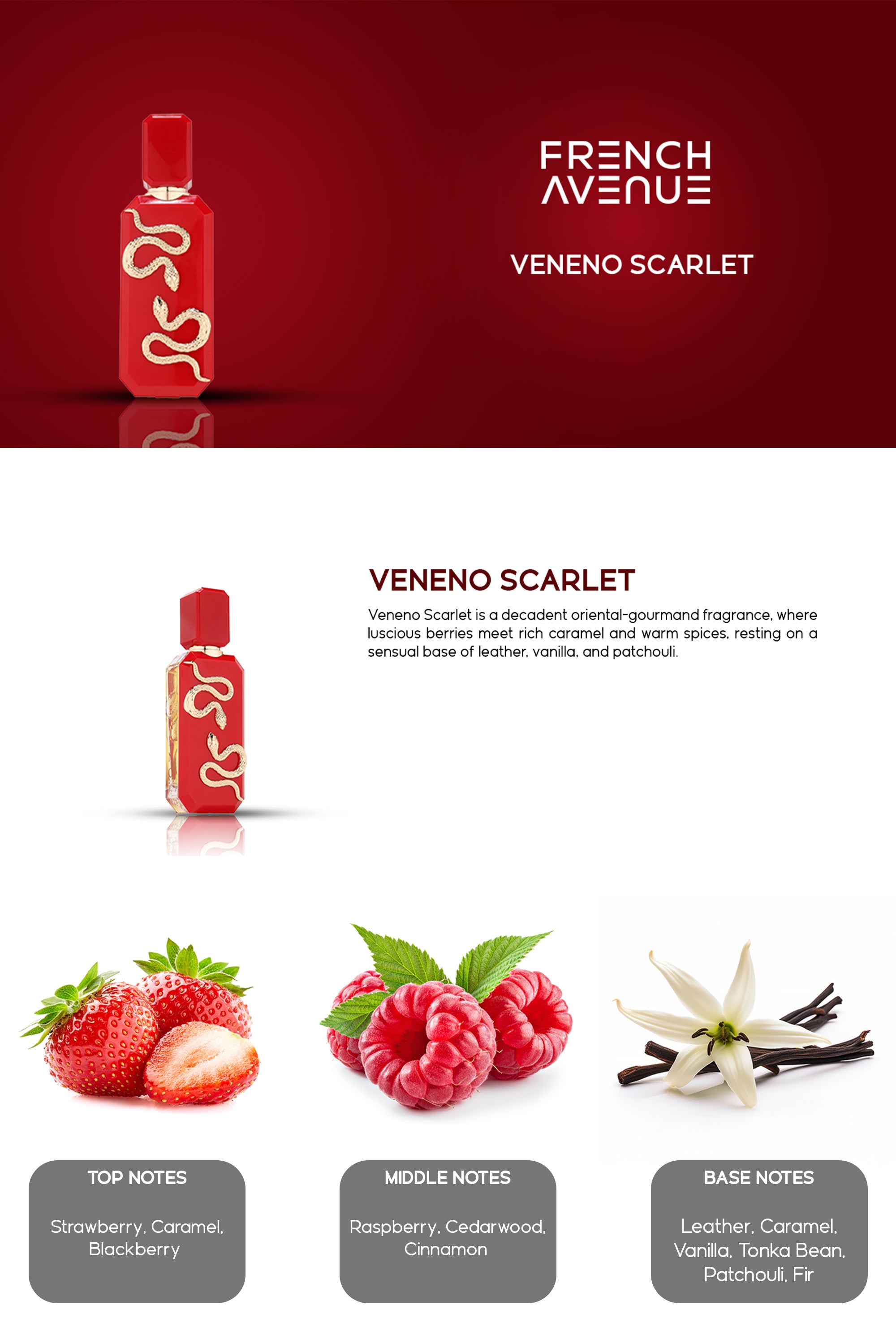 Veneno Scarlet Edp 100ml French Avenue by Fragrance World – FA USA