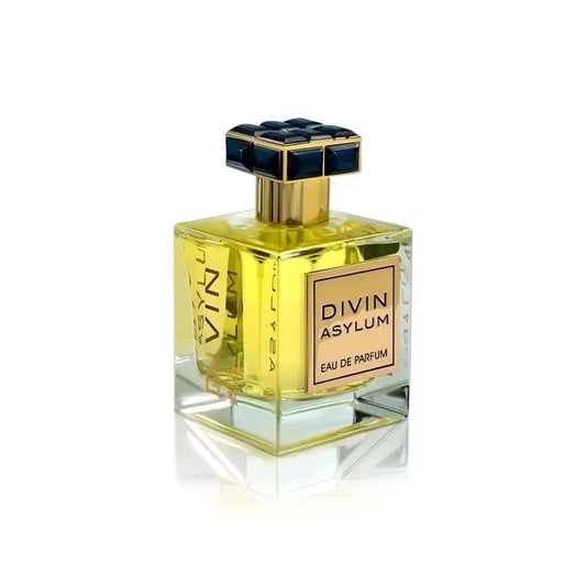Divin Asylum - Eau de Parfum - By French Avenue - Perfume For Men, 100ml